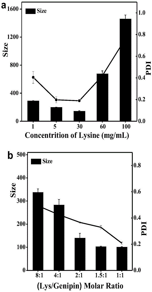 Preparation Of Nanometer Particles Dyeing Tumor Cells And Making Tumor