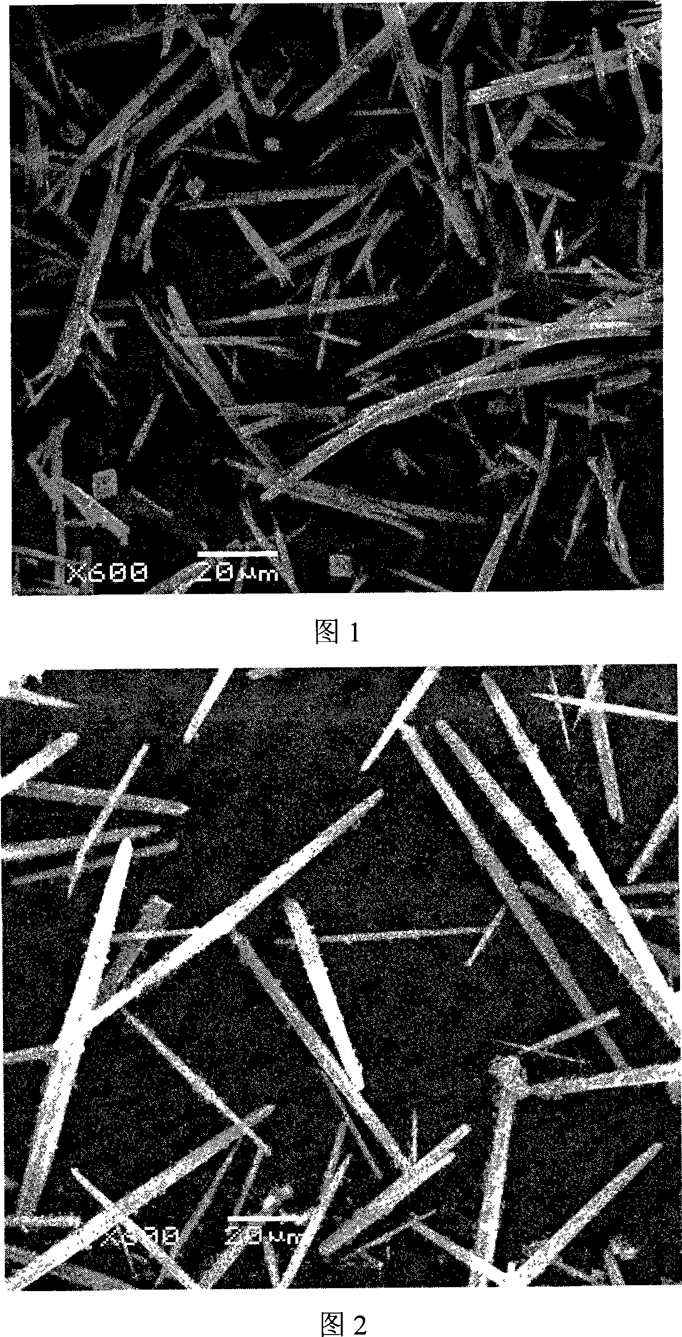 Method For Preparing Calcium Carbonate Crystal Whisker Eureka Patsnap