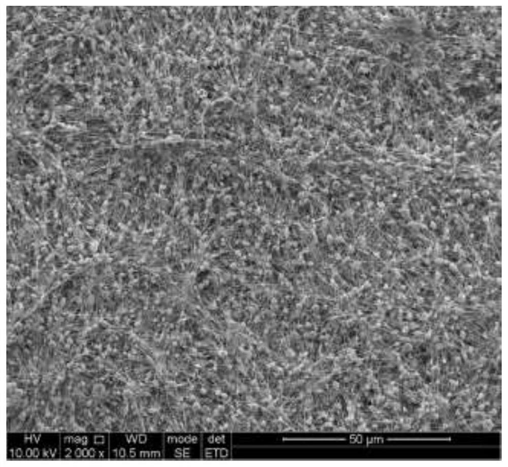 Preparation Method And Application Of MOF Material PVDF HFP Gel