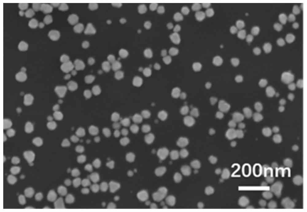 Mono Disperse Nano Silver Particle Coated With Succinylated Chitosan