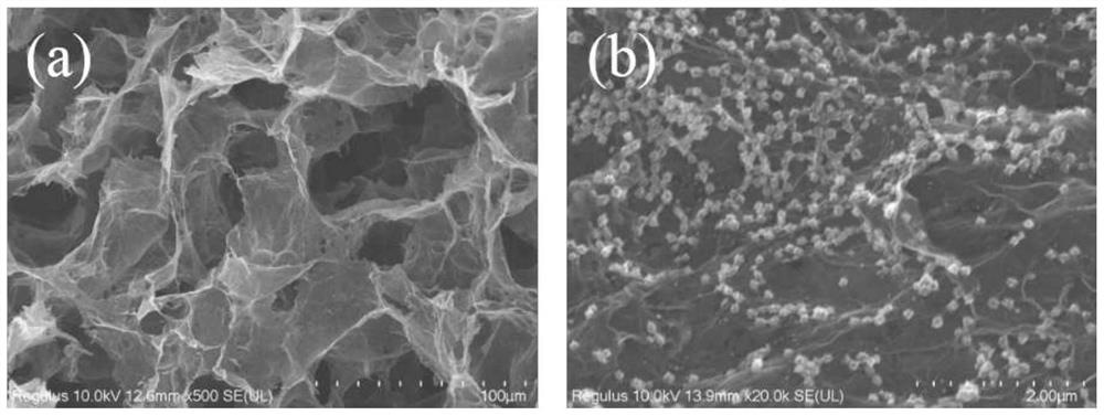 Magnetic Metal Reduced Graphene Oxide Aerogel Composite Wave Absorbing