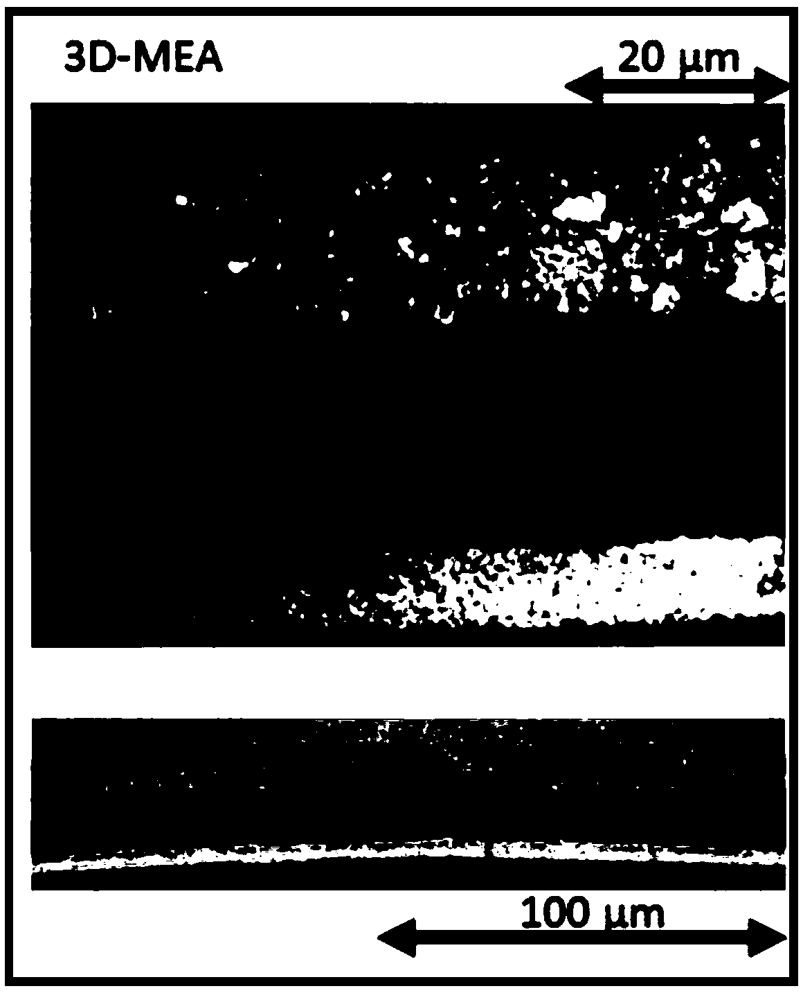 D Structure Integrated Membrane Electrode Preparation Method Eureka