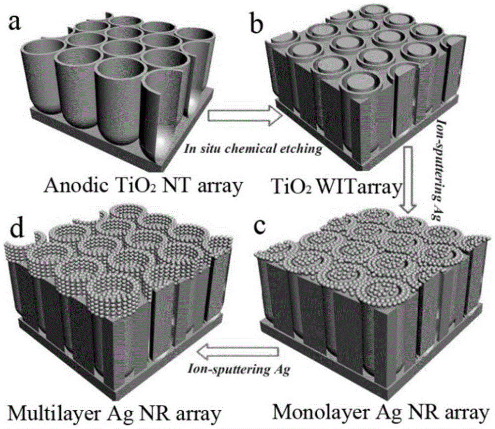 A Fabrication Method Of Nanoring Array Sers Substrate Assembled From Ag