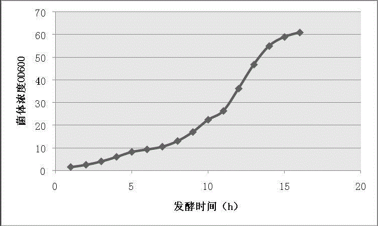 Method For High Density Fermentation Of Recombinant Human Hepatocyte