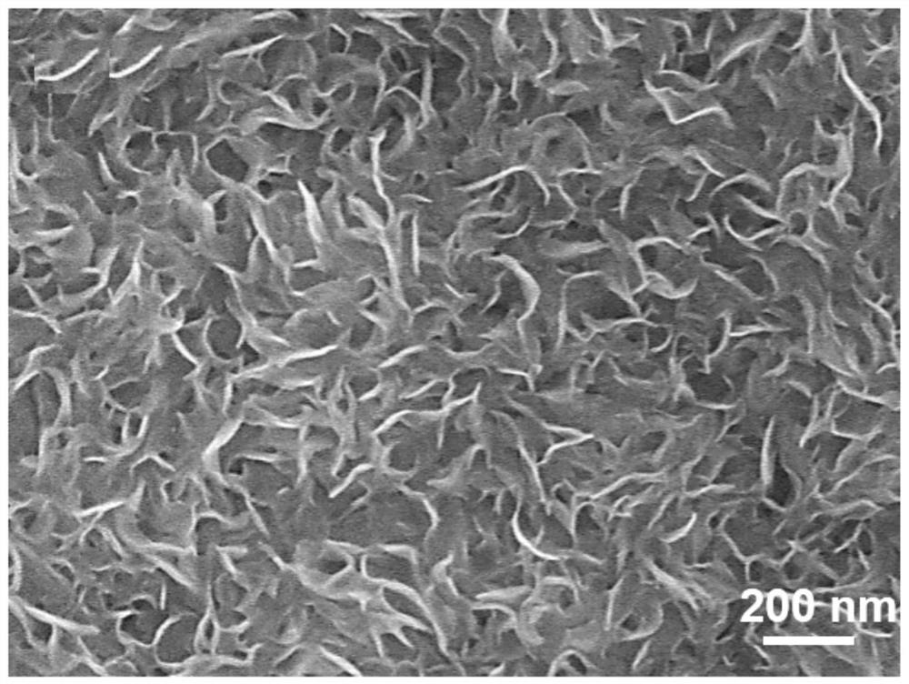 Molybdenum Disulfide Used For Stem Cell Proliferation And Or