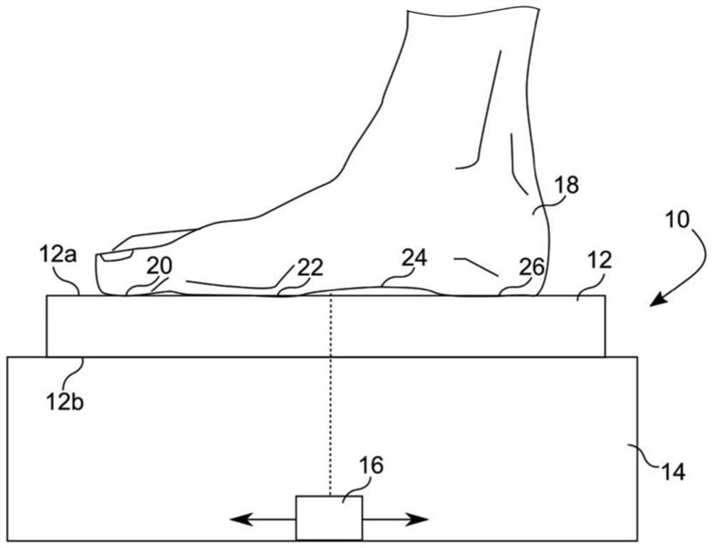 Optical Sole Scanning Device And Insole Production Device Having