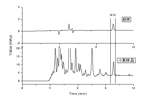 Extracting Purification And Detection Method For Nivalenol In Grains