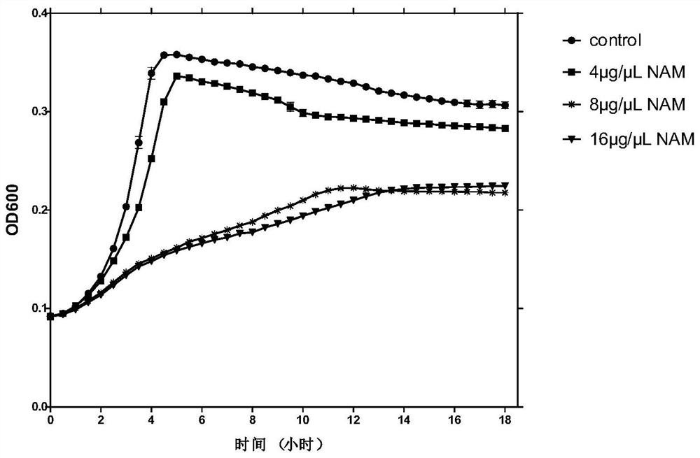 Application Of Nicotinamide In Preparation Of Inhibitor For