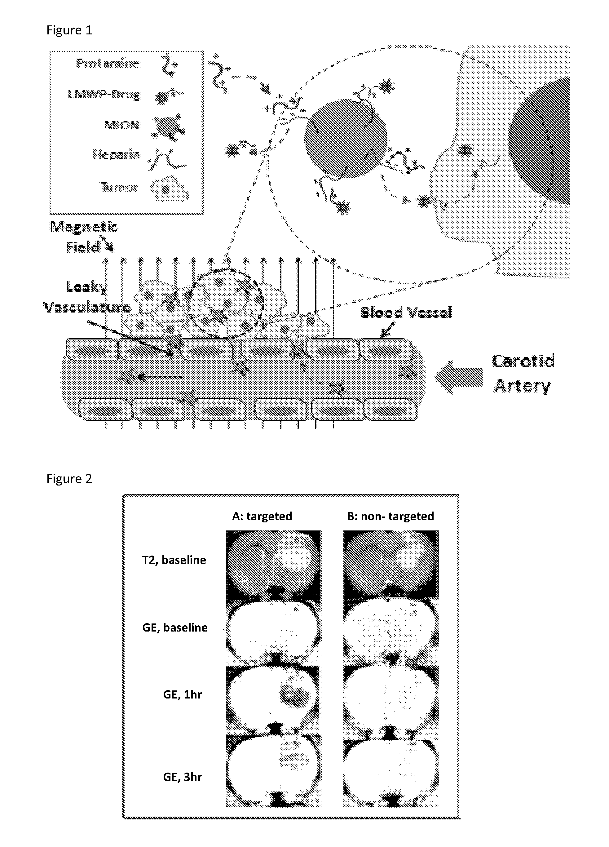 Compositions And Methods For Targeting Tumors Eureka Patsnap