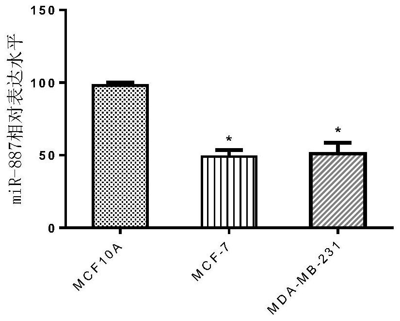 Application Of Mir In Breast Cancer Diagnosis And Treatment