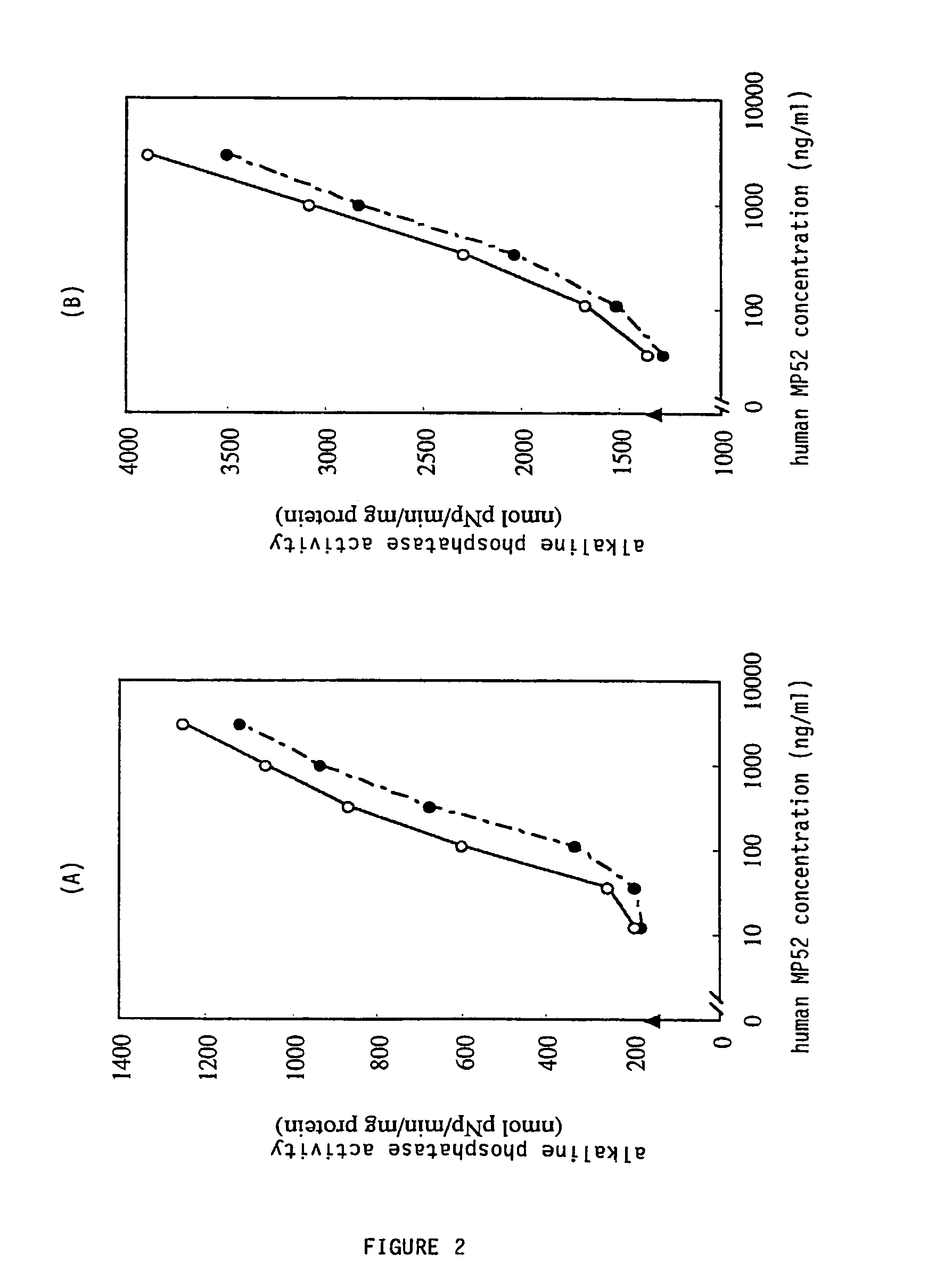 Monomer protein with bone morphogenetic activity and medicinal agent containing the same for preventing and treating diseases of cartilage and bone