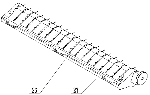 A spring-tooth pick-up and conveying device for strip-spread rapeseed