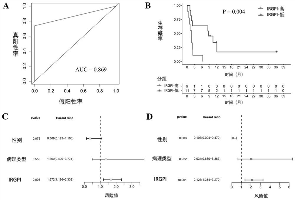 Application of a scoring system based on immune gene pairs in predicting the effect of immunotherapy in patients with non-small cell lung cancer