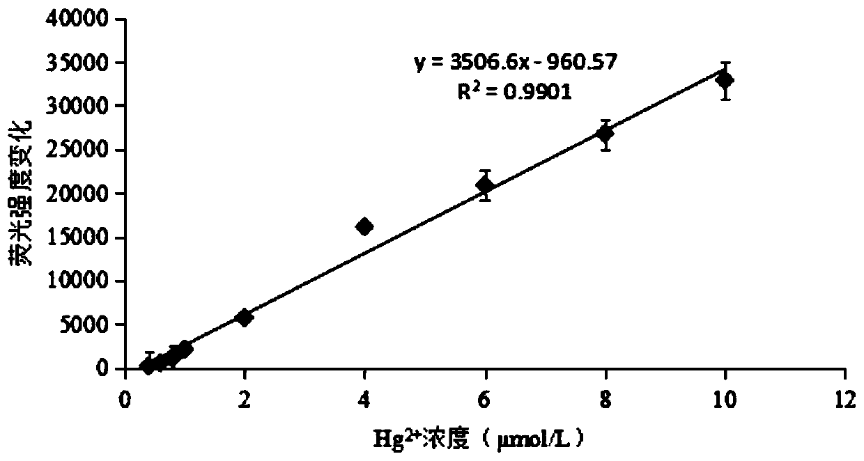 Hg2+ detection method based on molecular beacon aptamer