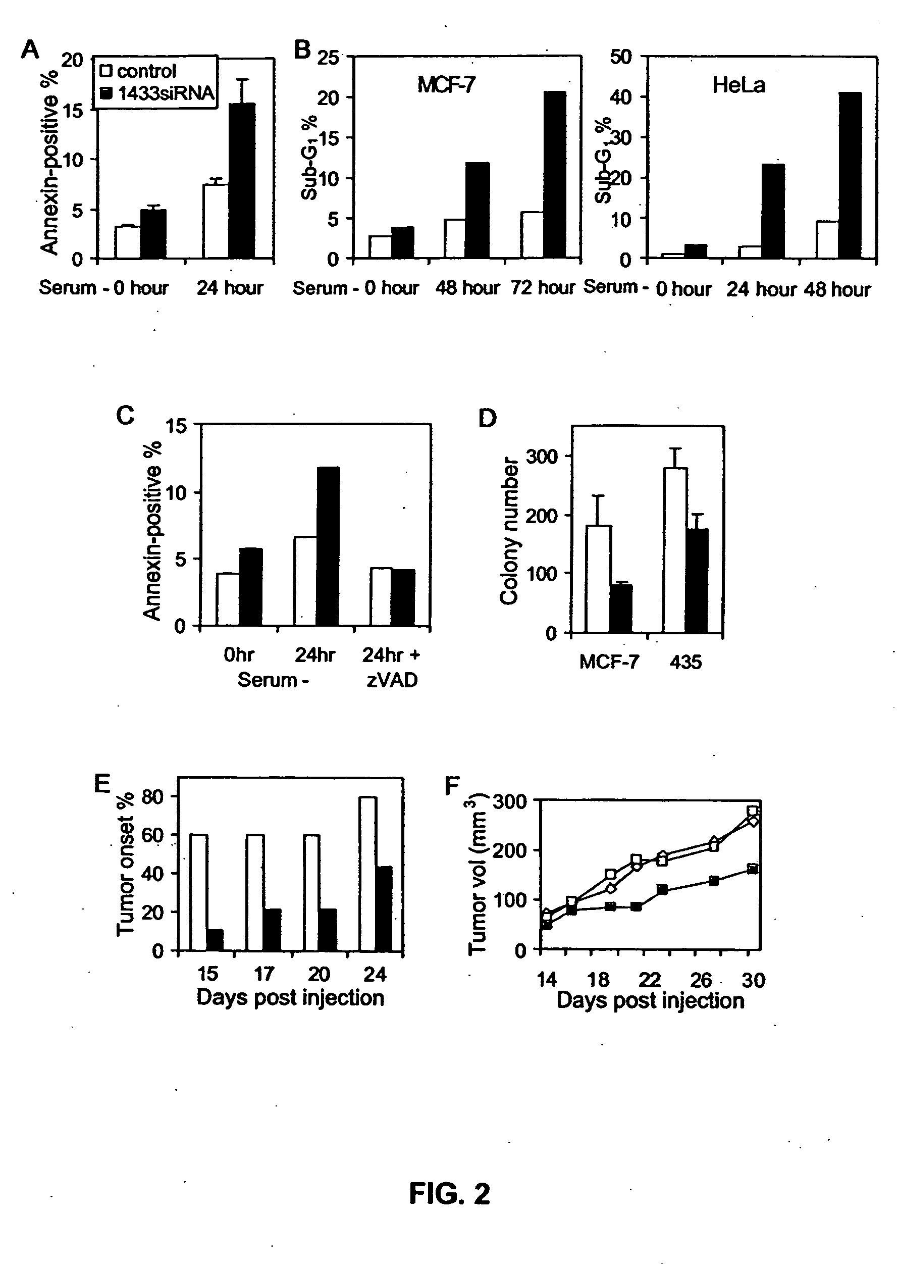 14-3-3 zeta over-expression as a poor prognosis factor, and a therapeutic target in multiple cancer types