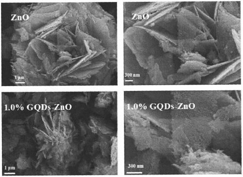 Synthesis method of GQDs modified ZnO composite nanostructure gas sensitive material for detecting dimethylamine gas
