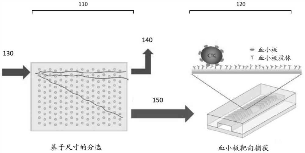 Platelet-targeted microfluidic separation of cells