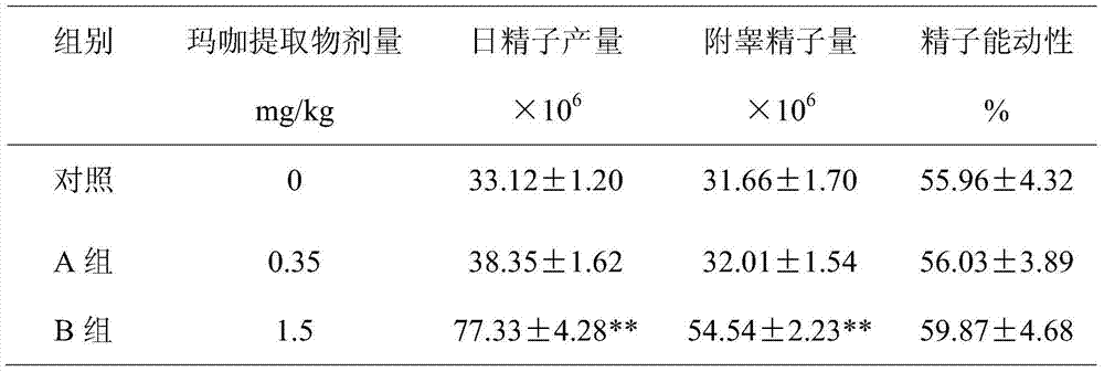 MACA extract, preparation method and application thereof