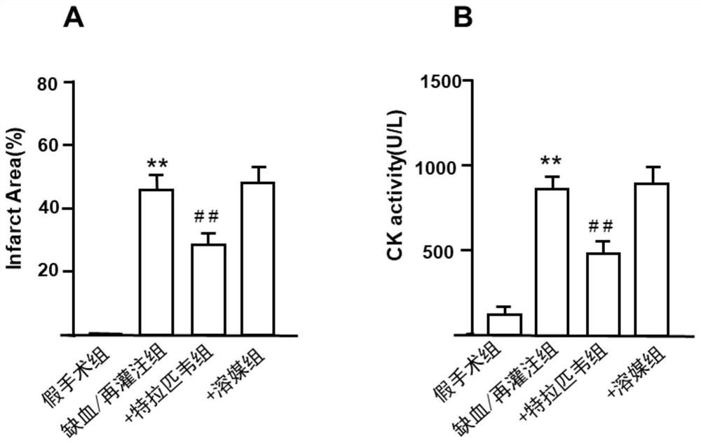 Application of telaprevir in the preparation of medicines for treating ischemia/reperfusion injury and cytoprotective medicines