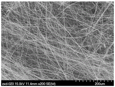 Surface-modified SiC nano wire, preparation method and applications thereof