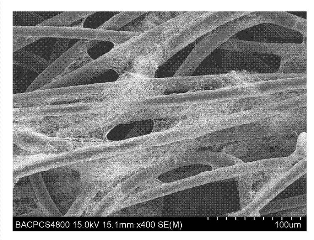 Composite conductive film, its preparation method and its application