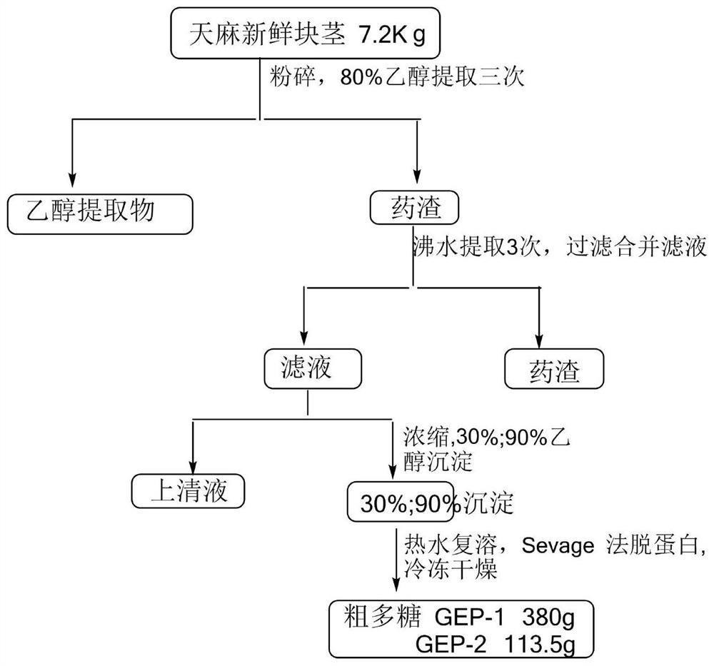 Extraction method and application of gastrodia elata oligosaccharide GEP-2