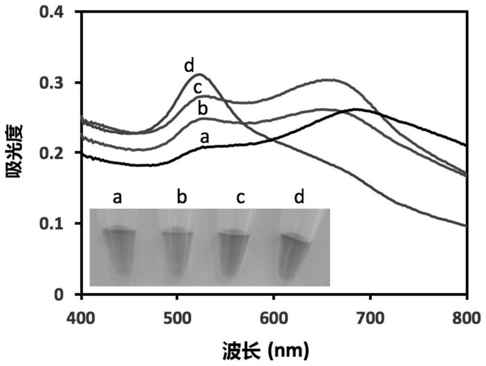 ATP nucleic acid aptamer, method and kit for chromogenic detection of ATP using nano-gold