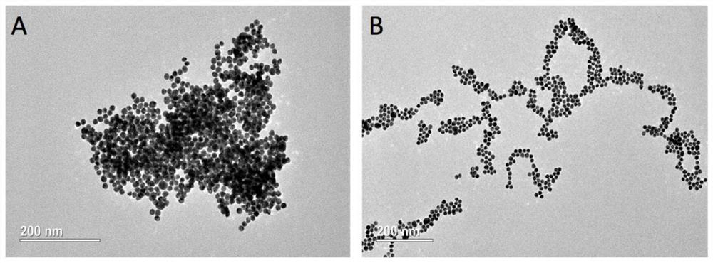 ATP nucleic acid aptamer, method and kit for chromogenic detection of ATP using nano-gold