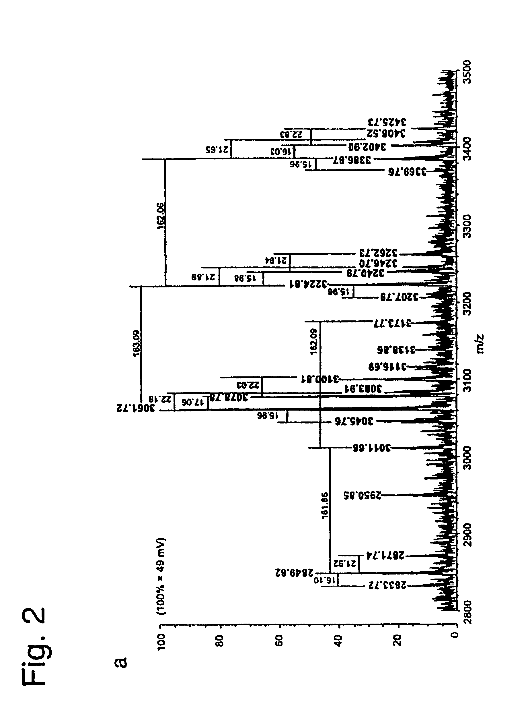 Method for identifying and validating dominant T helper cell epitopes using an HLA-DM-assisted class II binding assay