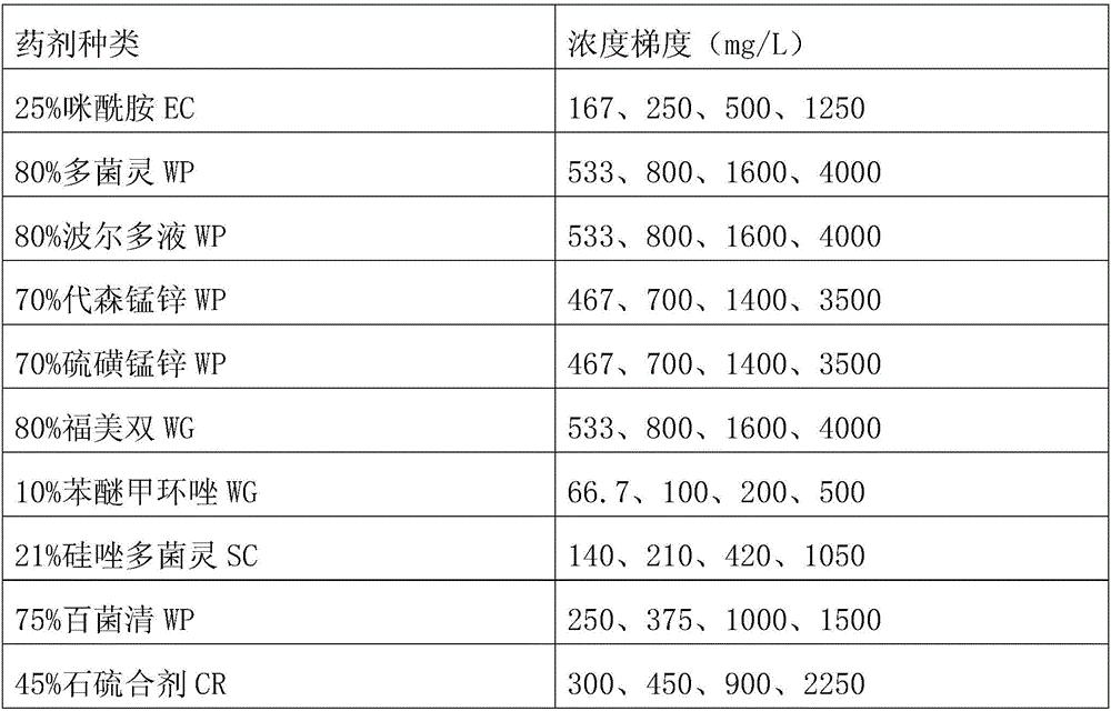 Pollution-free comprehensive prevention and control method for oil camellia anthracnose