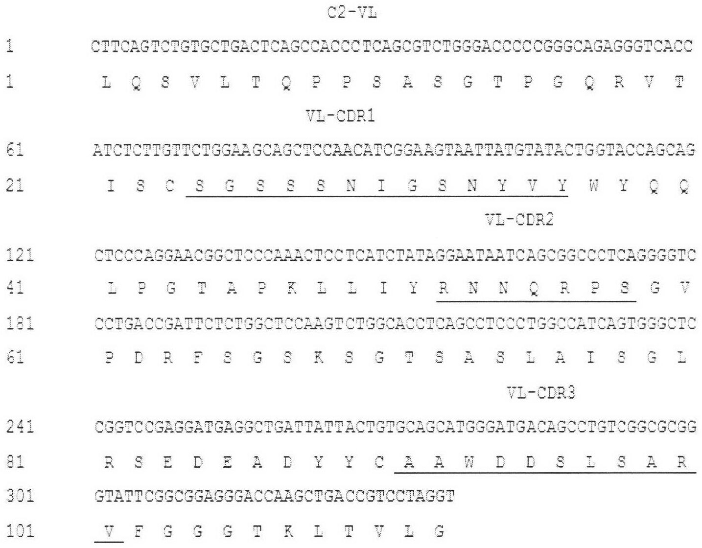 Single-chain antibody of fully-human anti-human interleukin-21 receptor and application thereof
