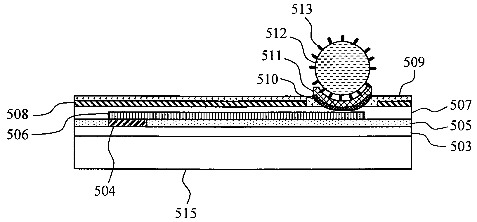 DNA measuring system and method