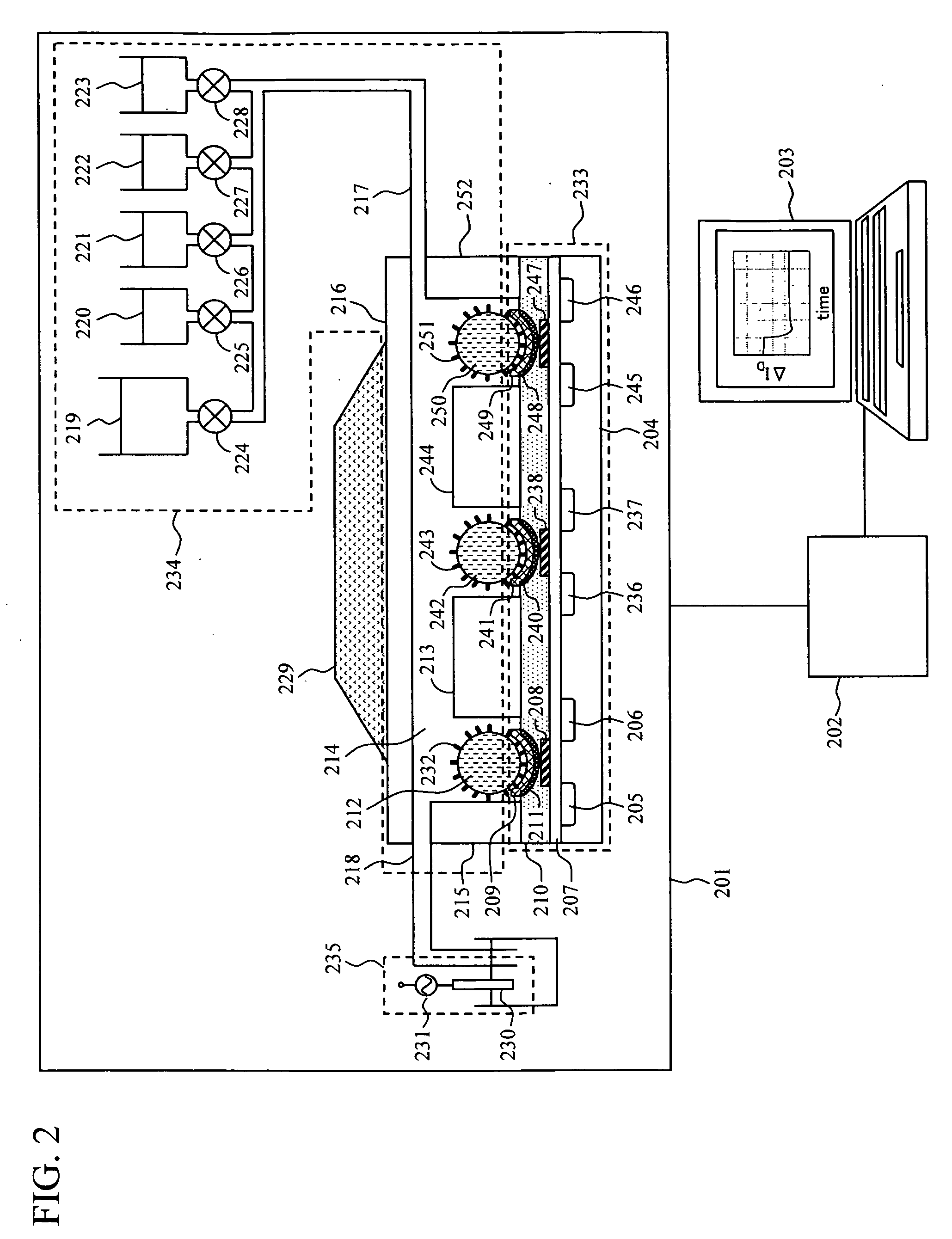 DNA measuring system and method