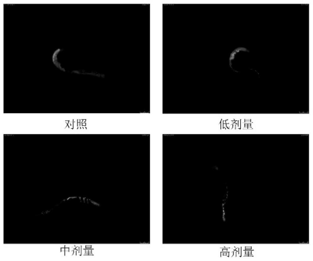 Application of 3,5-dimethoxytoluene in nematode poisoning and nematode poisoning agent containing 3,5-dimethoxytoluene