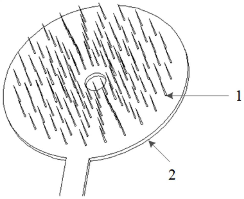 Nerve interface