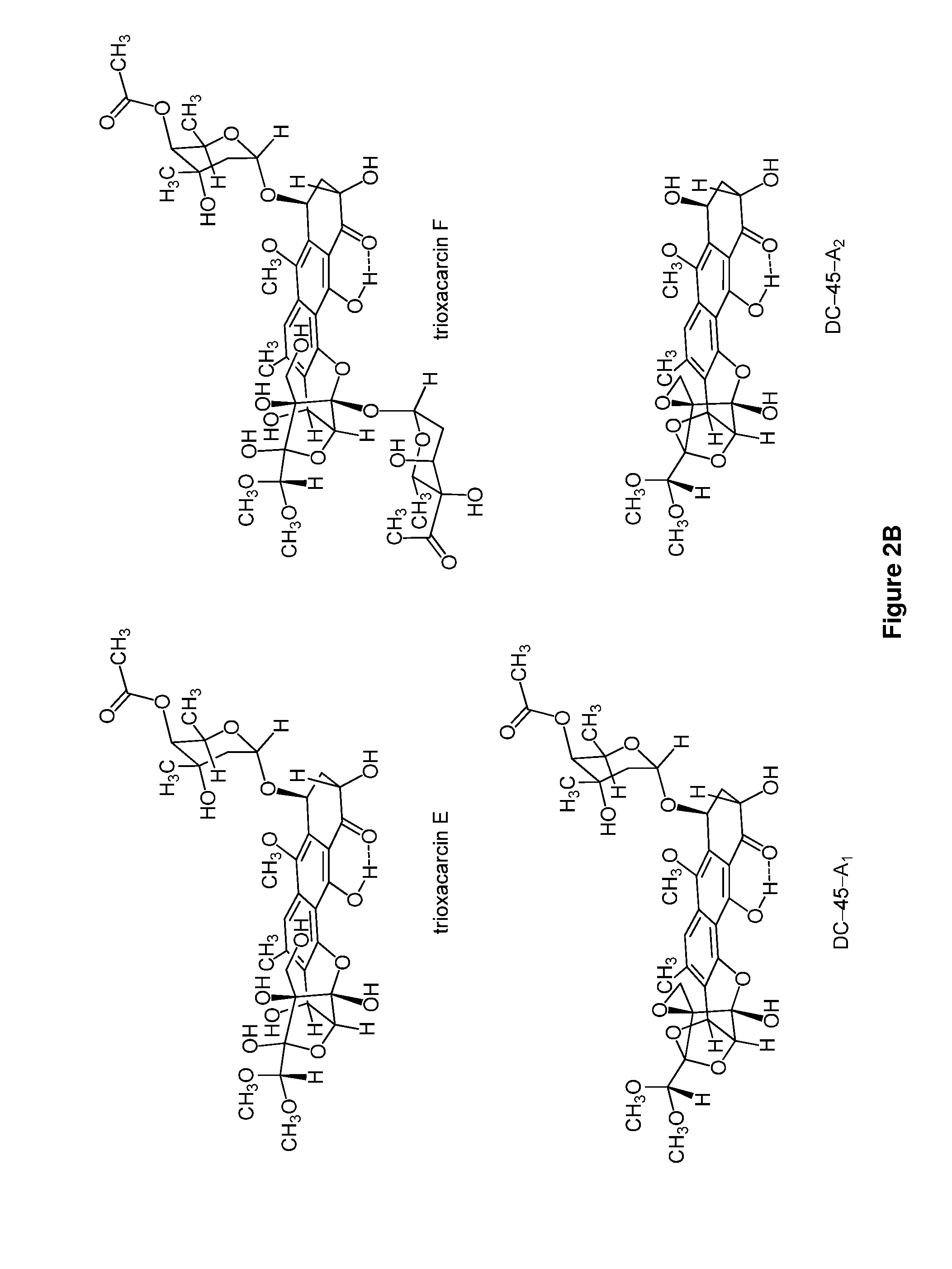 Trioxacarcins, trioxacarcin-antibody conjugates, and uses thereof