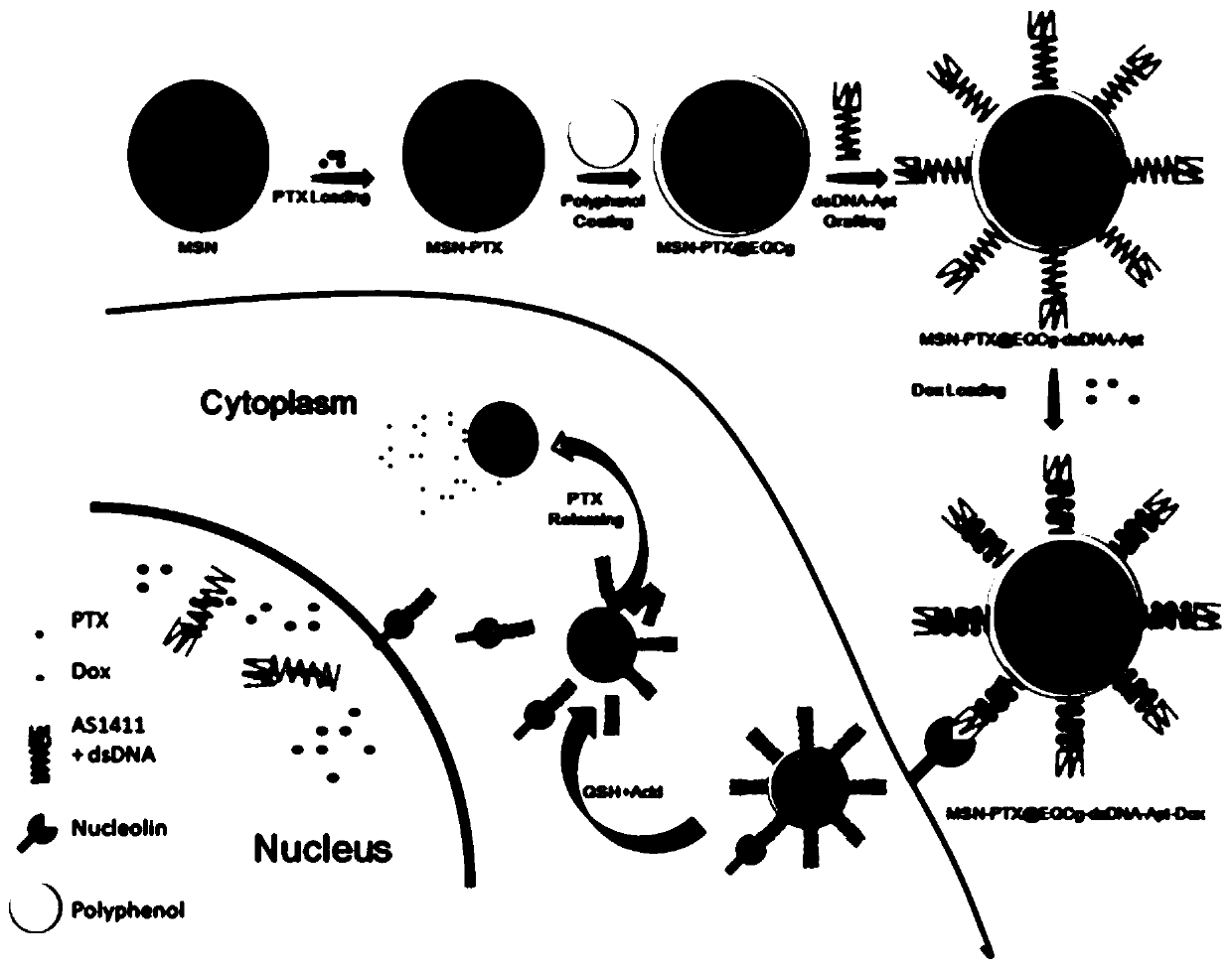 Subcellular targeted nano-drug delivery system