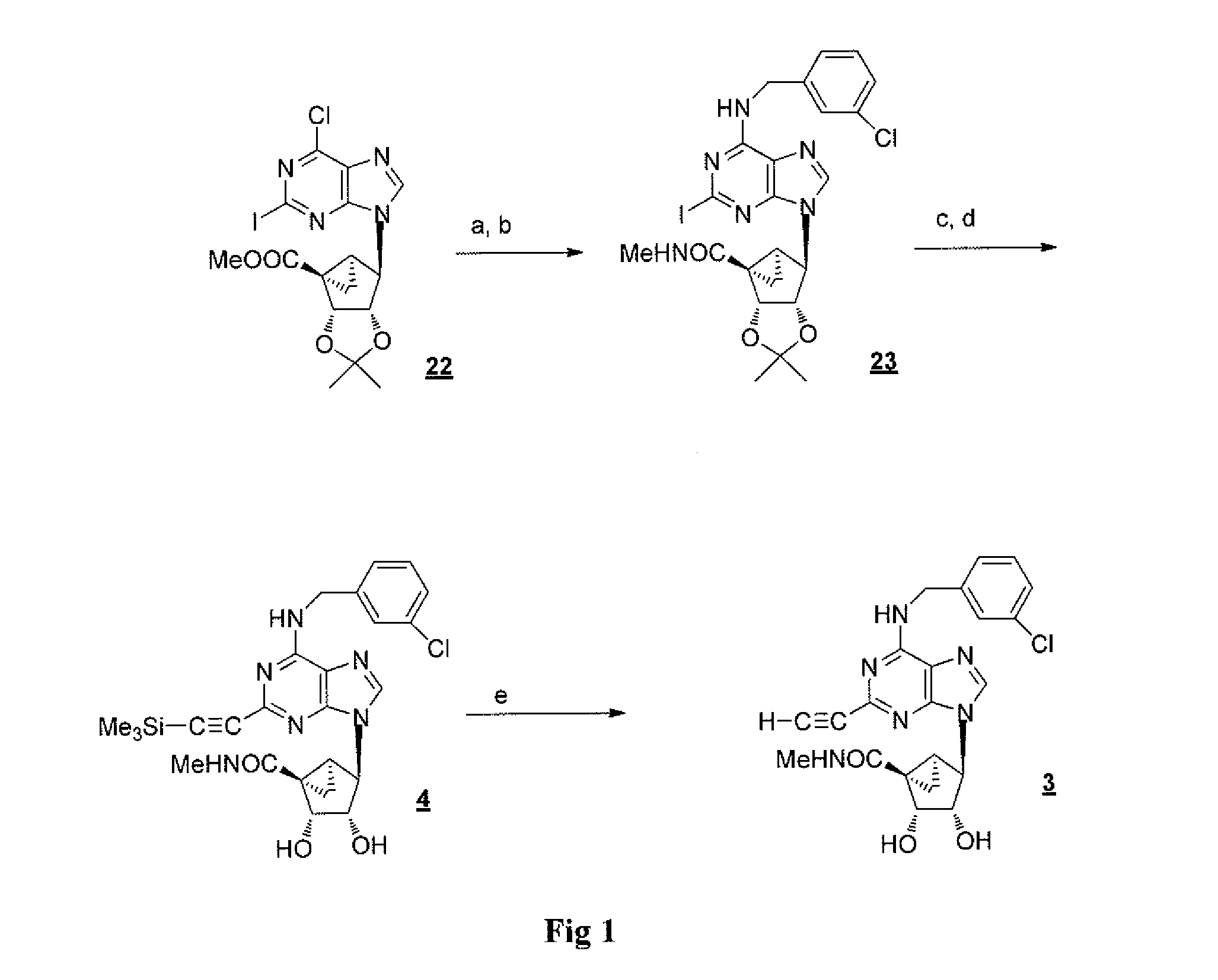 A3 adenosine receptor agonists and antagonists