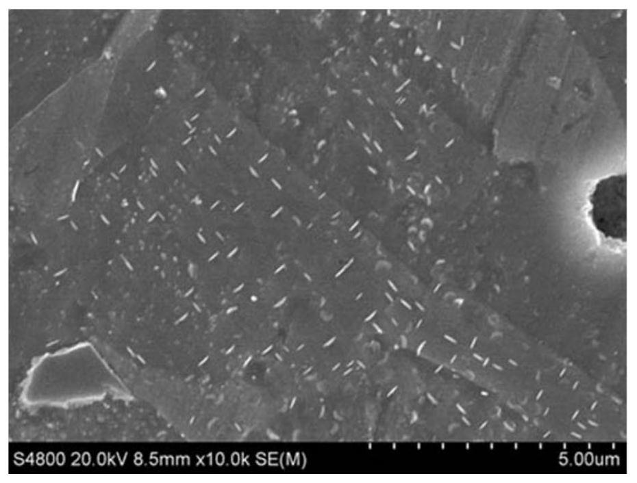 A kind of high-strength wear-resistant brass alloy and its preparation method