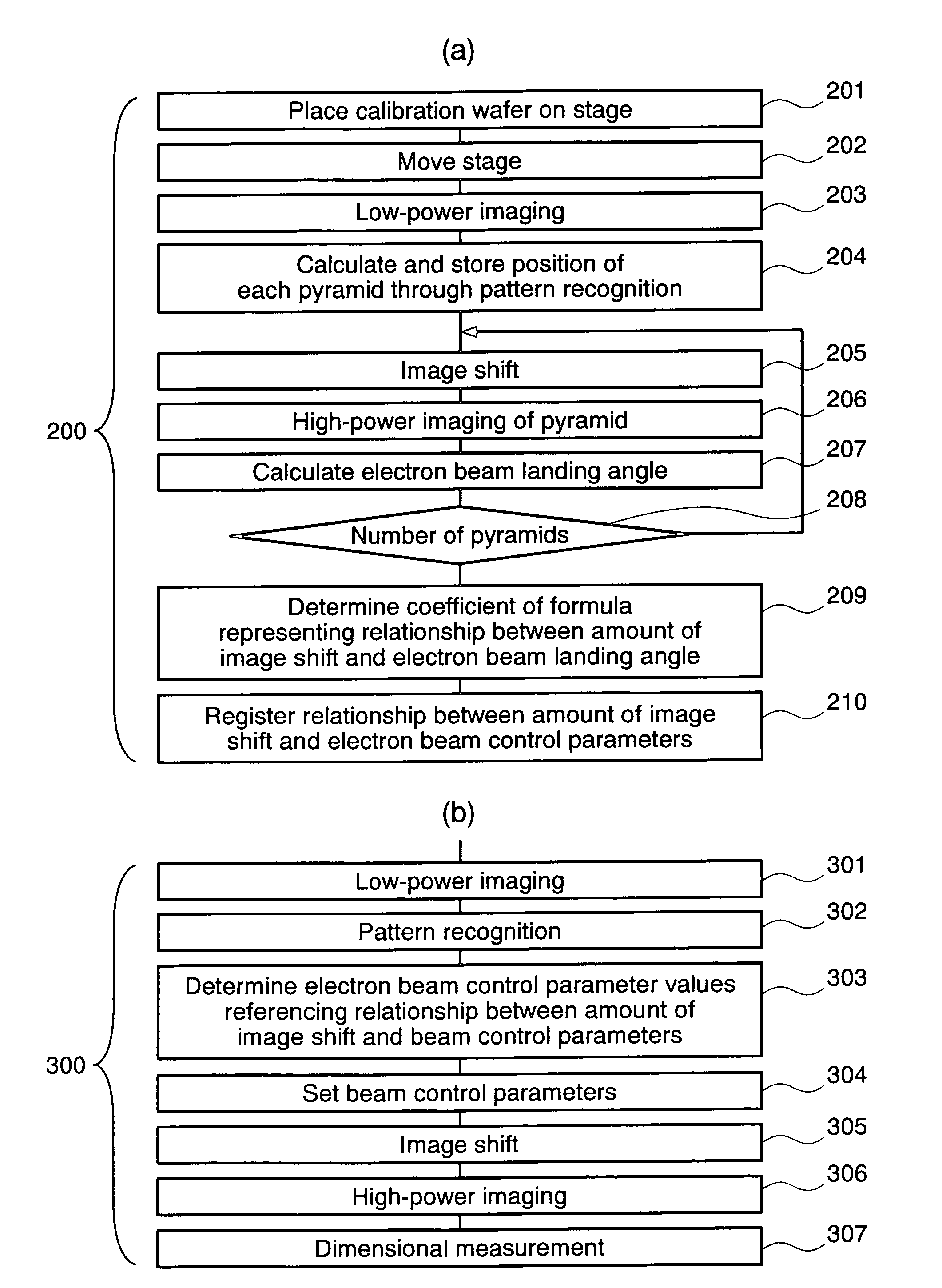 Charged particle beam apparatus and methods for capturing images using the same