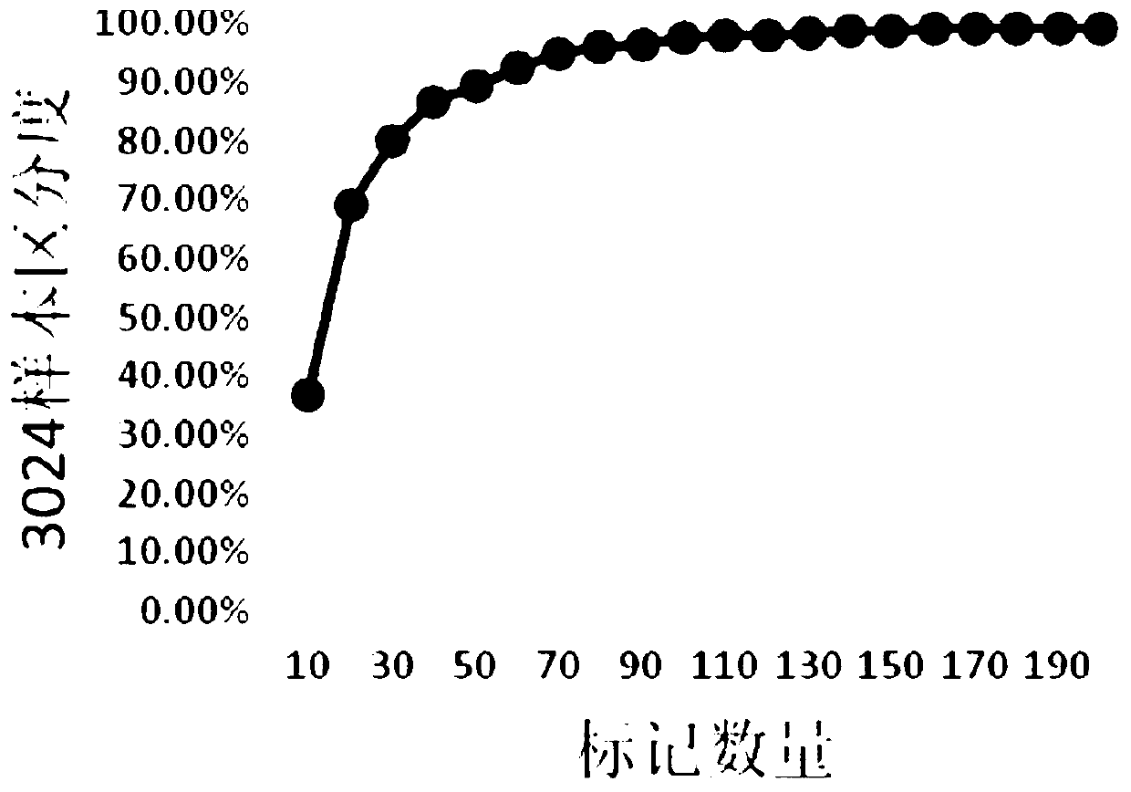 SNP marker combination for germplasm resource and variety identification of rice and application of SNP marker combination