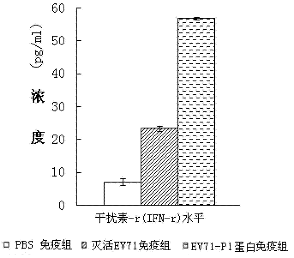 Genetic engineering protein vaccine for preventing EV71, and preparation method thereof