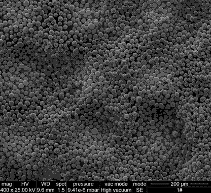 Porous spherical nickel protoxide and preparation method thereof