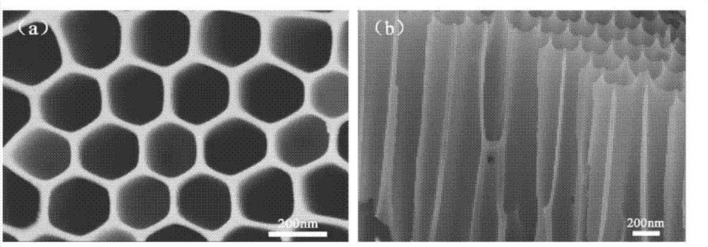 Preparation method of CaO-SiO2-CuO/PAA (porous anode alumina) composite biological membrane material