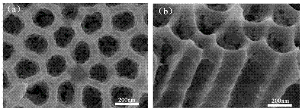 Preparation method of CaO-SiO2-CuO/PAA (porous anode alumina) composite biological membrane material