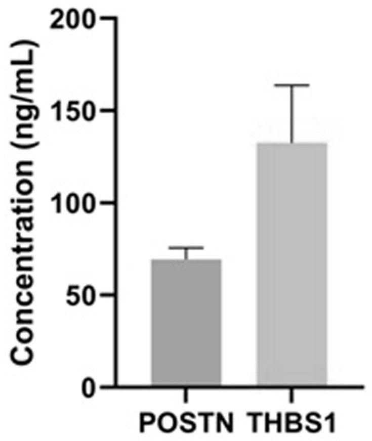 Identification and application of human amniotic mesenchymal stem cell exocrine protein POSTN