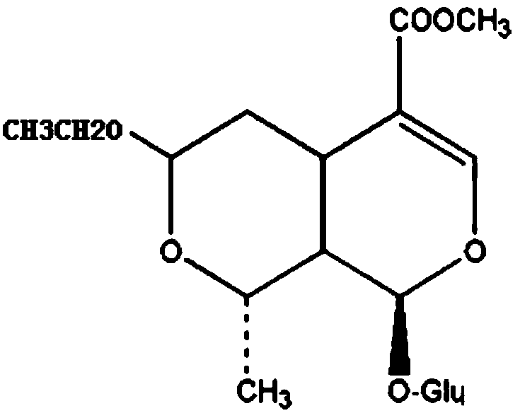 The preparation method of 7-o-ethyl morroniside