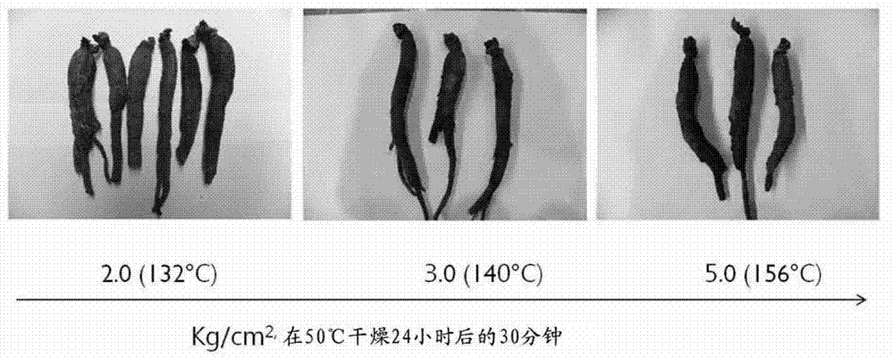 Preparation method for novel red ginseng using reduced-pressure drying after high temperature high pressure process