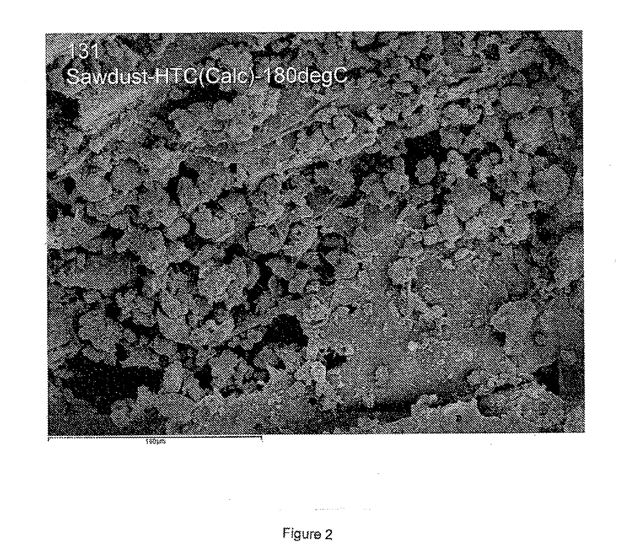 Polymeric material of photosynthetic origin comprising particulate inorganic material