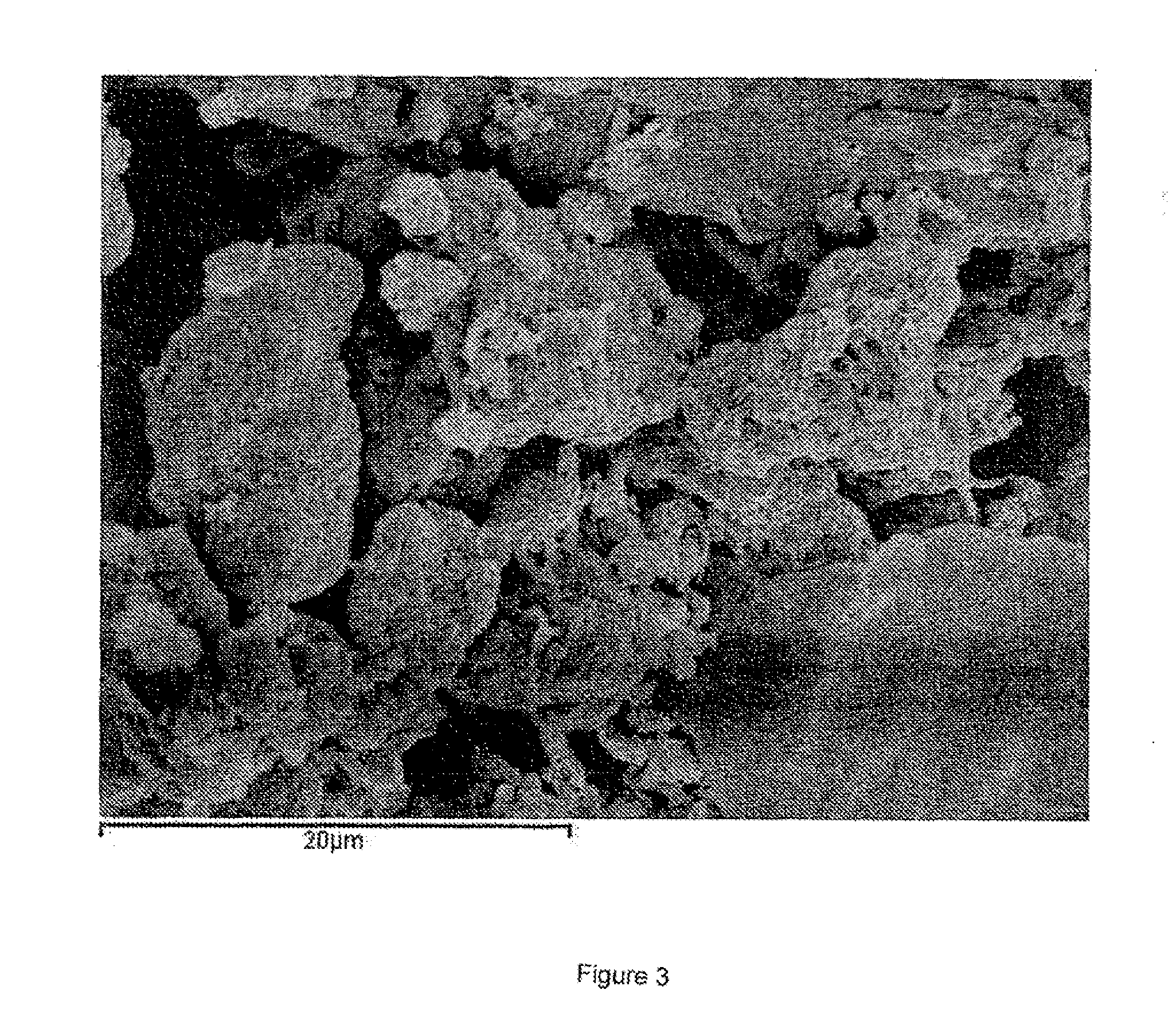 Polymeric material of photosynthetic origin comprising particulate inorganic material